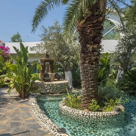 フラミンゴ 3* リスボン