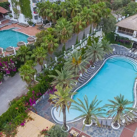 フラミンゴ リスボン