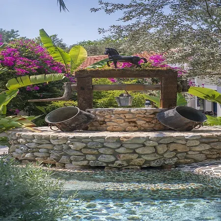 Flamingo Готель