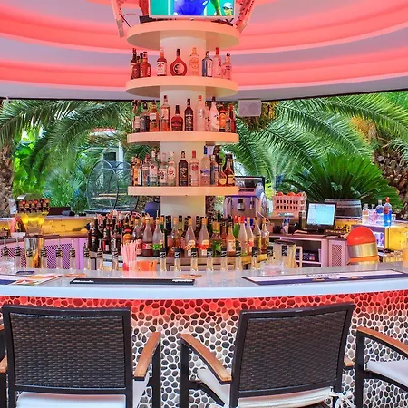 플라밍고 리스본